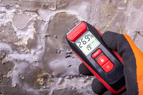 Best Mold Cleaning Services  in Laurel Lake, NJ
