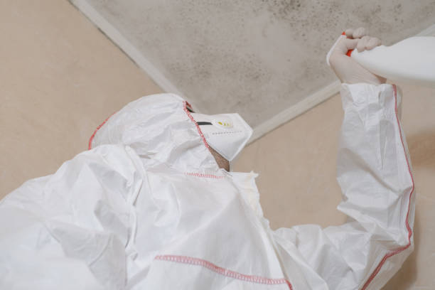 Best Professional Mold Removal  in Laurel Lake, NJ